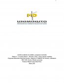 Artículo académico de análisis y propuesta curricular