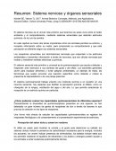 Resumen: Sistema nervioso y órganos sensoriales