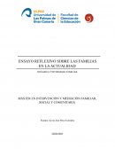 Ensayo reflexivo sobre las familias en la actualidad