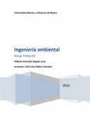 Ingeniería ambiental ¿Cuál es la importancia para las energías renovables de los ciclos biogeoquímicos incluyendo el del agua?