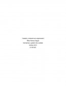 Calidad y contexto de la organización