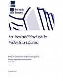 La Trazabilidad en la Industria Láctea