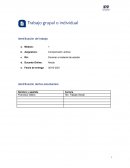 Cómo prepararnos para empleos del futuro