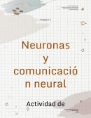 ¿Qué son las neuronas?