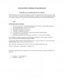 ANÁLISIS DE LA COMPOSICIÓN DEL EQUIPO