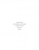 Principios de calidad