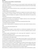 Resume Roy Hora