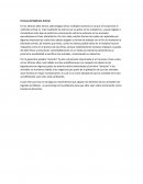 Formas de Maltrato Animal