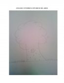 Test del árbol, indicadores e interpretación