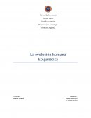 Epigenética: La evolución humana