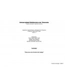 Actividad “Estructura de división del trabajo”