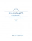 Laboratorio de biología tema: extracción de ADN de la carne