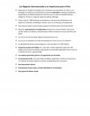Los Negocios Internacionales y su importancia para el Perú