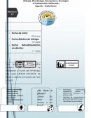 Exploración y conocimiento del mundo (Biología, Microbiología, Fisicoquímica y Tecnología)