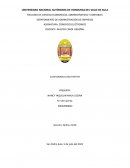 CUESTIONARIO CASO TWITTER