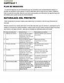 PLAN DE NEGOCIOS BARRA DE AVENA Y MIEL