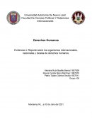 Reporte sobre los organismos internacionales, nacionales y locales de derechos humanos