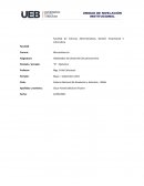 ¿Cuáles son los 4 puntos de pensar?