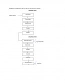 Flujograma de elaboración del licor de jora con esencia de naranja