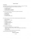 Industria automotriz