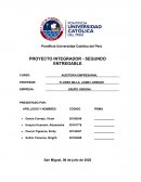 Proyecto integrador N°2 (CUREM-TEAM) Grupo Verona