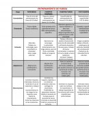 Gimnasia artística: preparación general