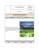 PROGRAMA DE MANEJO DE CULTIVO DE CACAO