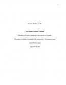 Practica Word leyes TIC