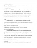 ¿Que es la genetica?