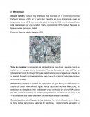 Microbiología agrícola