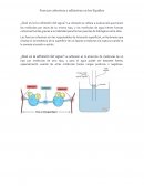 Fuerzas cohesivas y adhesivas en los líquidos