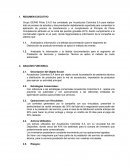 RESUMEN EJECUTIVO Grupo GER40 Piloto S.A.S