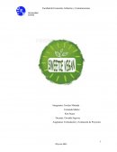 Plan de negocios tienda vegana