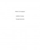 Psicologia experimental