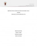 DISEÑO DE INSTALACIONES ELECTRICAS DE MEDIA Y BAJA