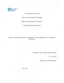 Desarrollo organizacional, aspectos conceptuales. La cultura organizacional y sus principales componentes