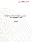 Microbiología de suelos