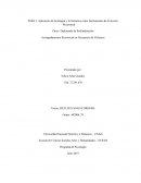 Aplicación de la Imagen y la Narrativa como Instrumentos de la Acción Psicosocial