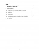 SITUACIÓN DE LA INFORMALIDAD EN AREQUIPA