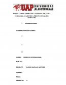 ORGANIZACIONES INTERNACIONALES