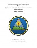 HIATO, DIPTONGO Y TRIPTONGO