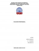 Vocación Profesional