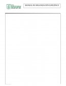 MANUAL DE ORGANIZACIÓN ESPECÍFICO DE ESTADISTICA E INFORMATICA DEL HOSPITAL GENERAL REGIONAL “LIC. EMILIO SANCHEZ PIEDRAS”