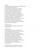 FISCALIZACIÓN ELECTRÓNICA Y SU EFECTO EN LAS OBLIGACIONES FORMALES DEL CONTRIBUYENTE