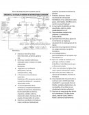 Primer parcial biologia celular banco