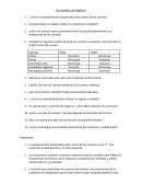 Las cuentas y los registros