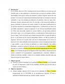 Pautas Trabajo final hidrologia