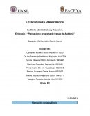 Planeación y programa de trabajo de Auditoria