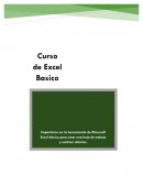 Manual de excel basico