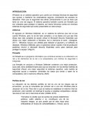 El sistema operativo de Windows